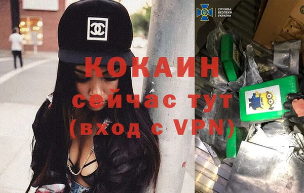ГАЛЛЮЦИНОГЕННЫЕ ГРИБЫ Бородино