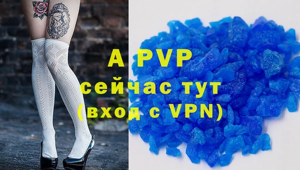 ГАЛЛЮЦИНОГЕННЫЕ ГРИБЫ Бородино