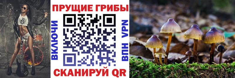 Псилоцибиновые грибы прущие грибы  Купино 